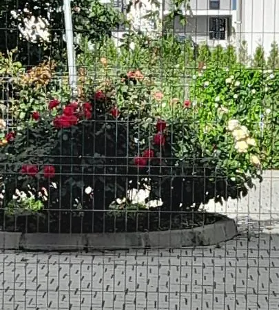 Apartment Coresi, 2 Camere, Sleeps 6 Large Private Garden Pets Welcome