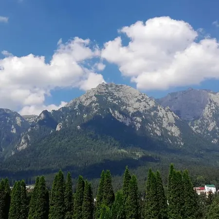 Coresi, 2 Camere, Sleeps 6 Large Private Garden Pets Welcome Lägenhet Braşov