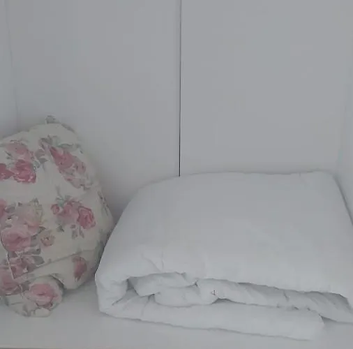 Apartment Coresi, 2 Camere, Sleeps 6 Large Private Garden Pets Welcome Brasov