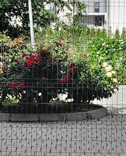 Apartment Coresi, 2 Camere, Sleeps 6 Large Private Garden Pets Welcome