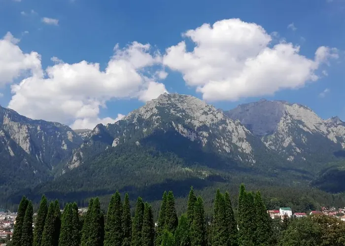 Coresi, 2 Camere, Sleeps 6 Large Private Garden Pets Welcome Apartment Brasov