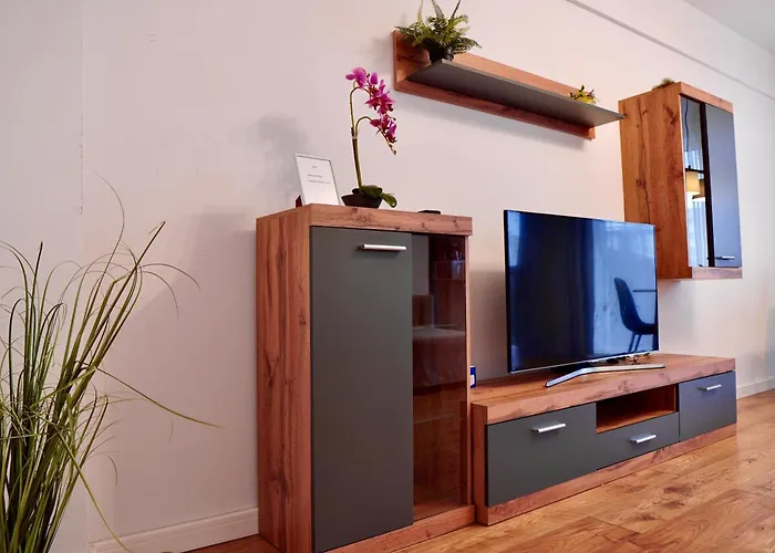 Coresi, 2 Camere, Sleeps 6 Large Private Garden Pets Welcome Apartment *