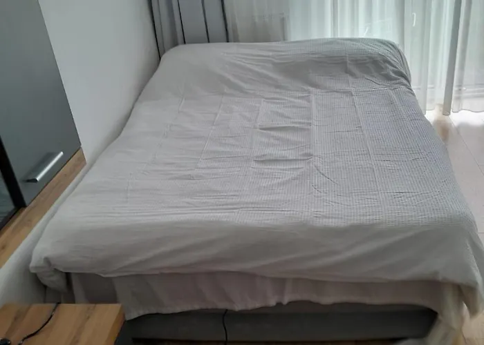 Apartment Coresi, 2 Camere, Sleeps 6 Large Private Garden Pets Welcome Brasov